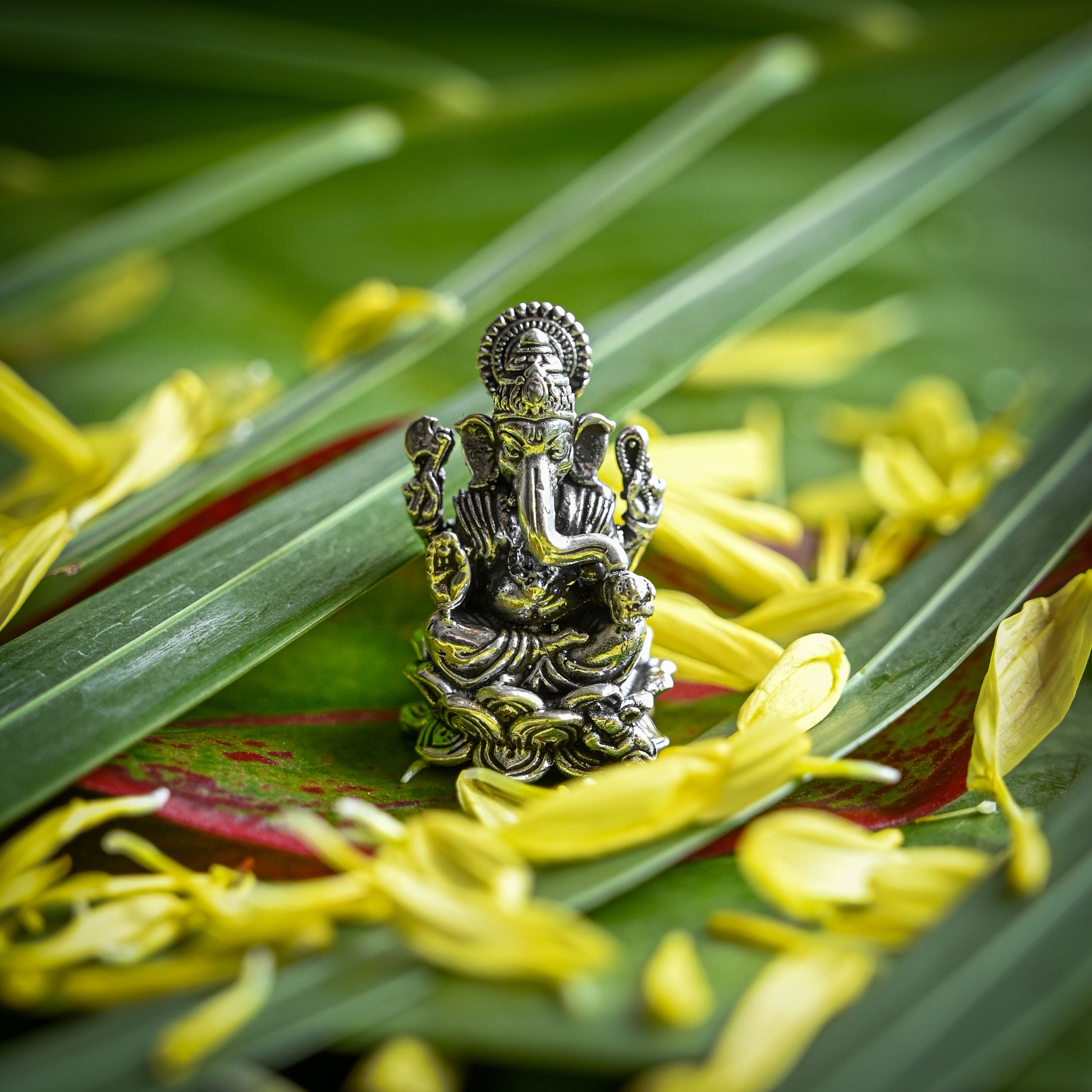 Pure Silver Items for Indian Traditional Rituals